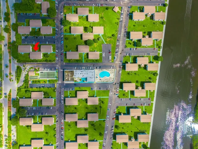 a bunch of fruits and vegetables