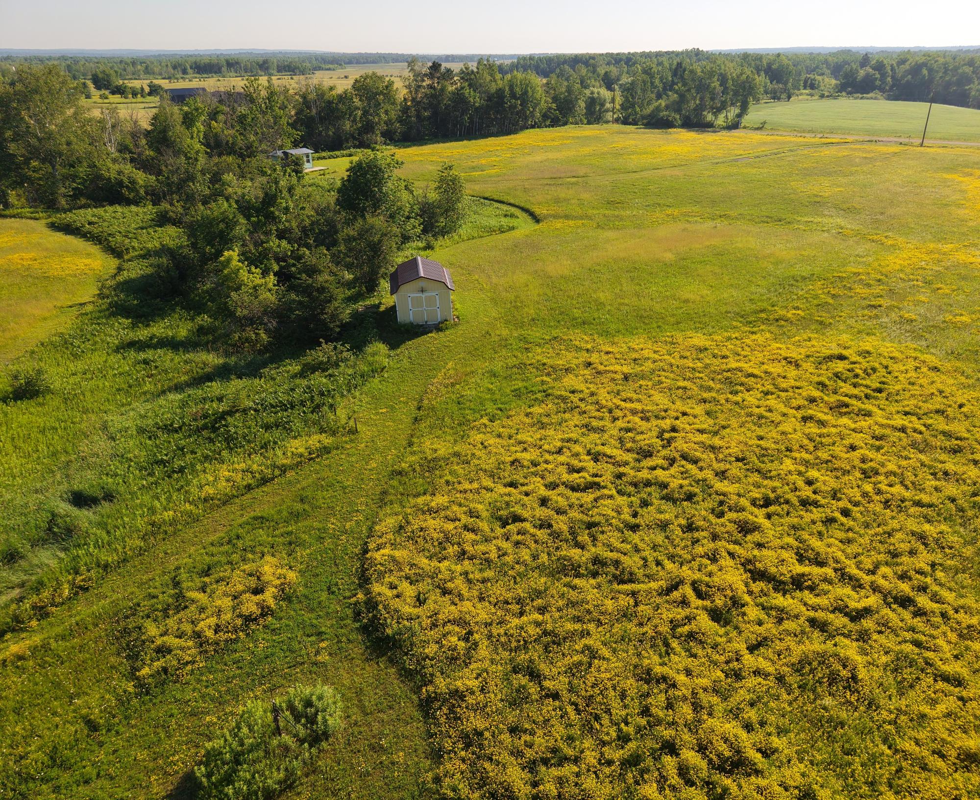 25920 Franzel Road Mason, WI 54856 - Photo 17 of 27 Gallery Image 17