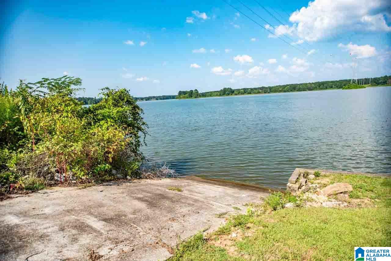 11 Seddon Point Pell City, AL 35128 - Photo 50 of 50