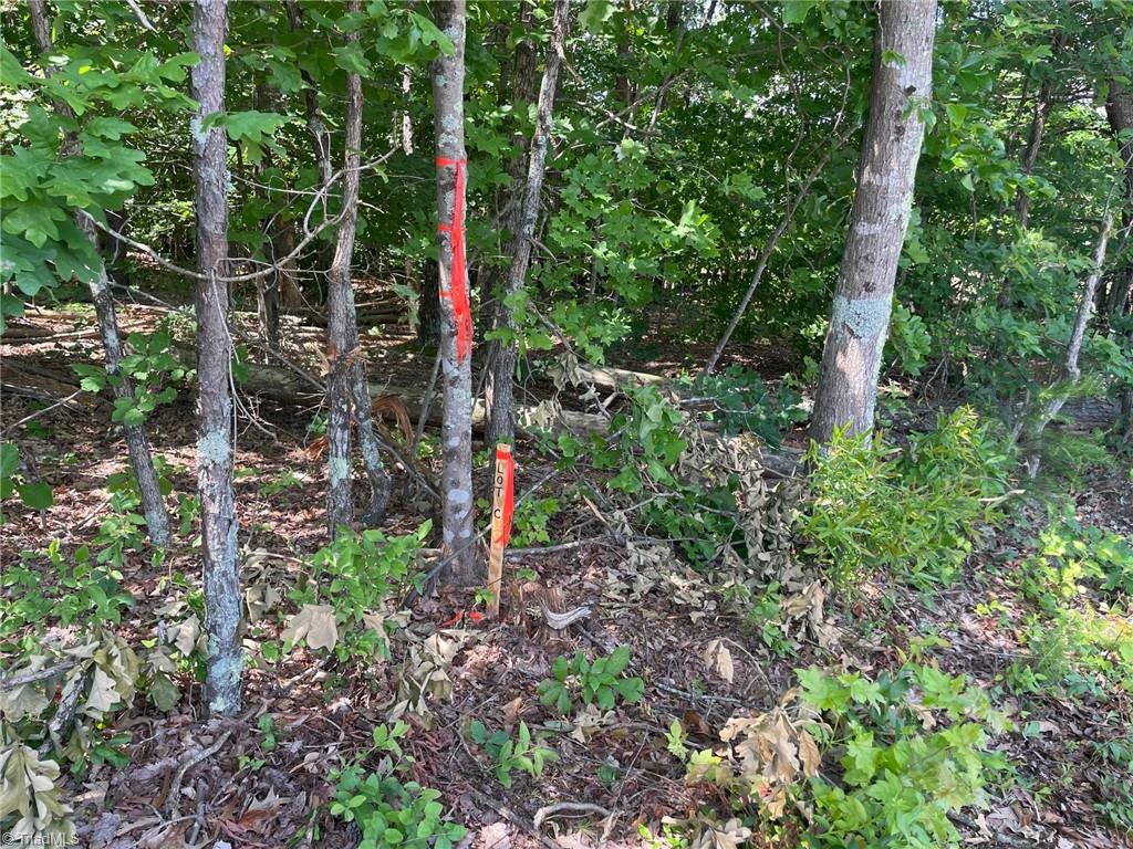 Parcel B Iron Works Road Reidsville, NC 27320 - Photo 5 of 6