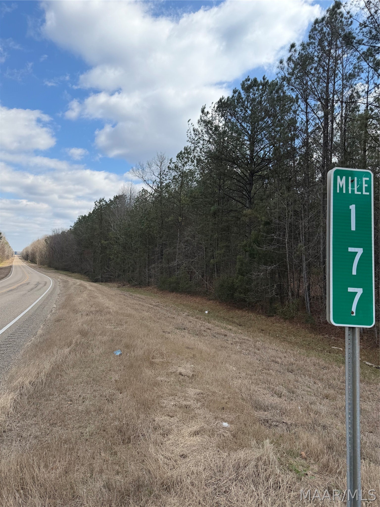 3 Highway 82 Mathews Al Mathews, AL 36052 - Photo 1 of 8 Gallery Image 1