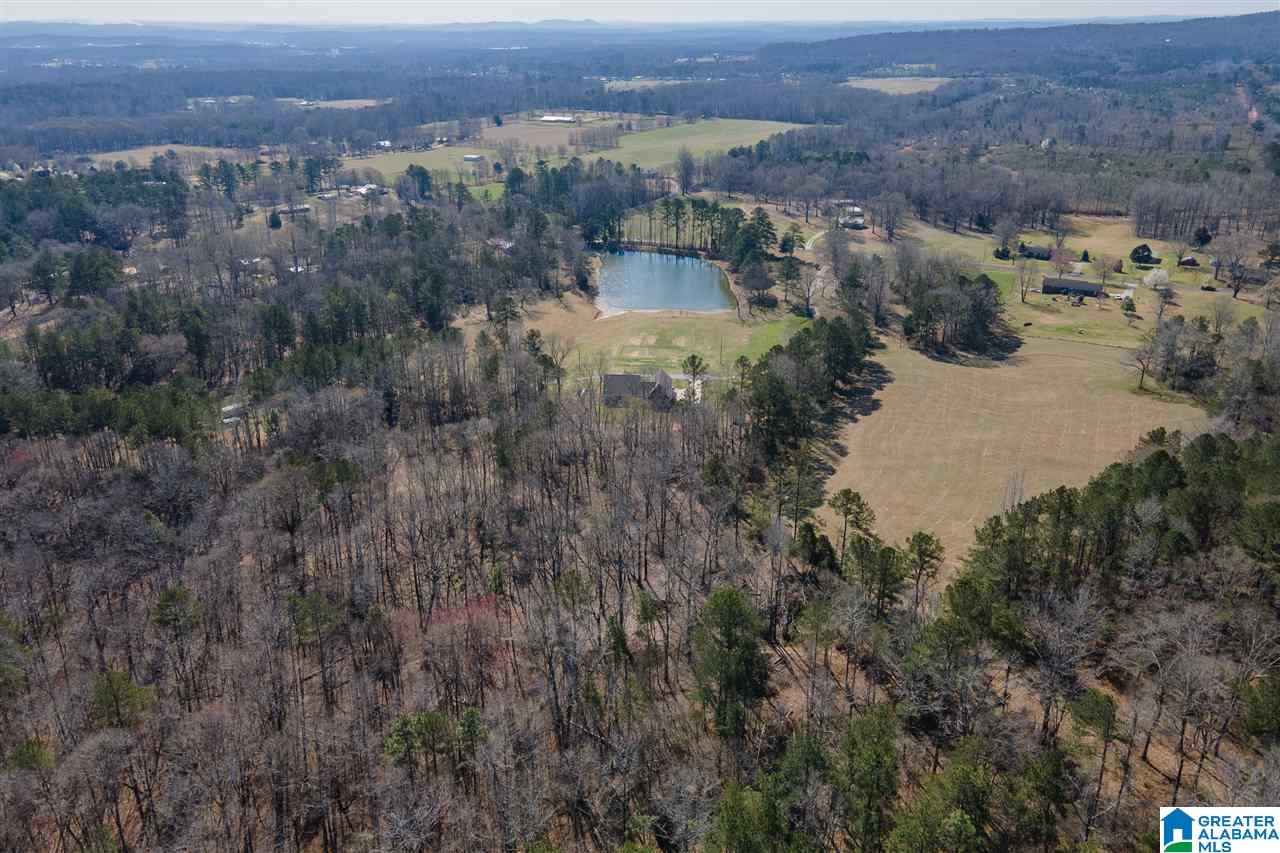 659 Blue Springs Road Wilsonville, AL 35186 - Photo 50 of 50