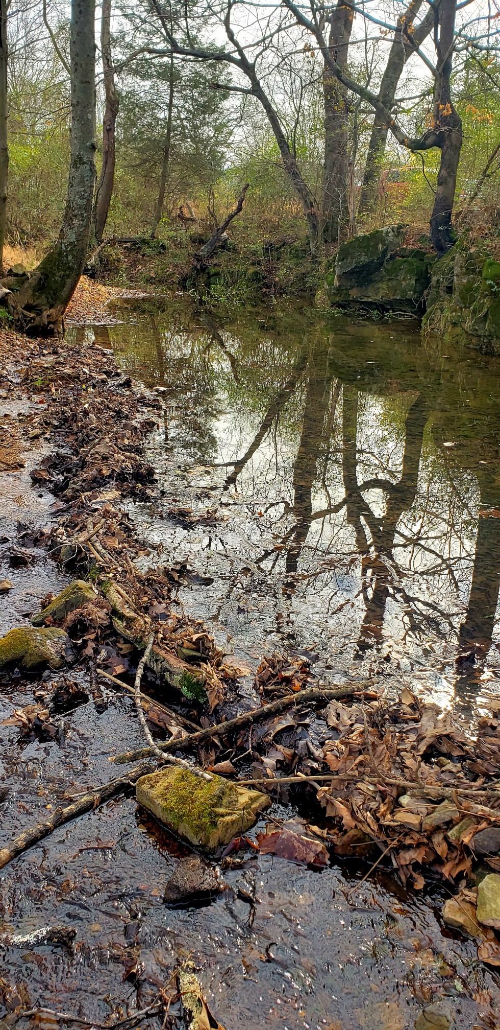 3996 Highway 49 West Springfield, TN 37172 - Photo 21 of 22 a view of lake from under an tree