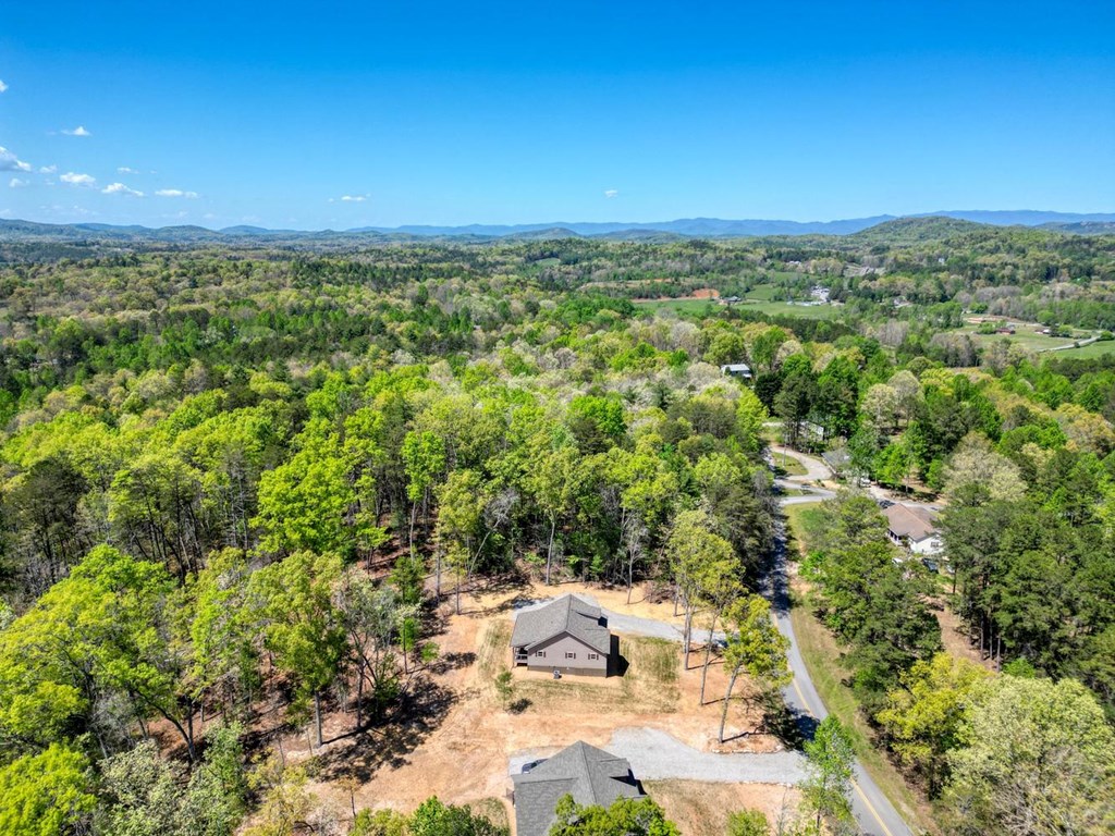 1347 John Smith Road East Blairsville, GA 30512 - Photo 44 of 47