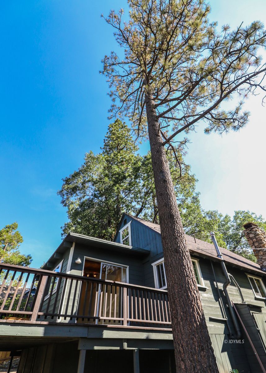 25585 Seneca Road Idyllwild, CA 92549 - Photo 24 of 24 a balcony with a tree