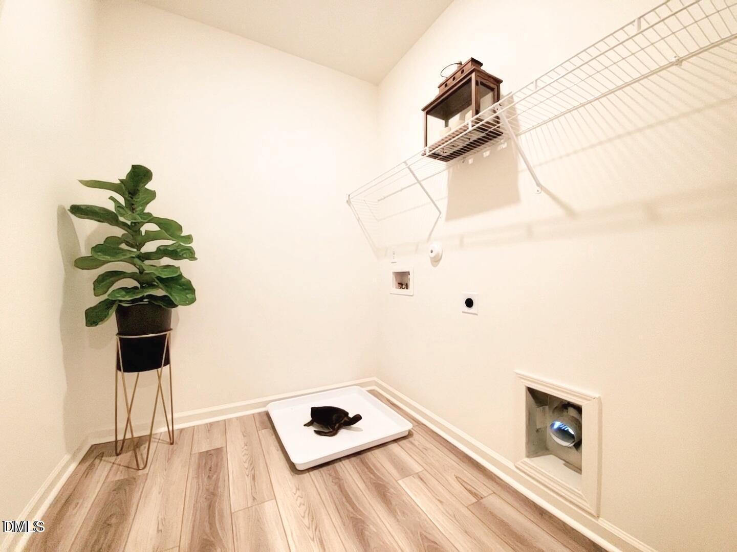 836 Emmer Street Rolesville, NC 27571 - Photo 15 of 19 20250620040033638502000000-o