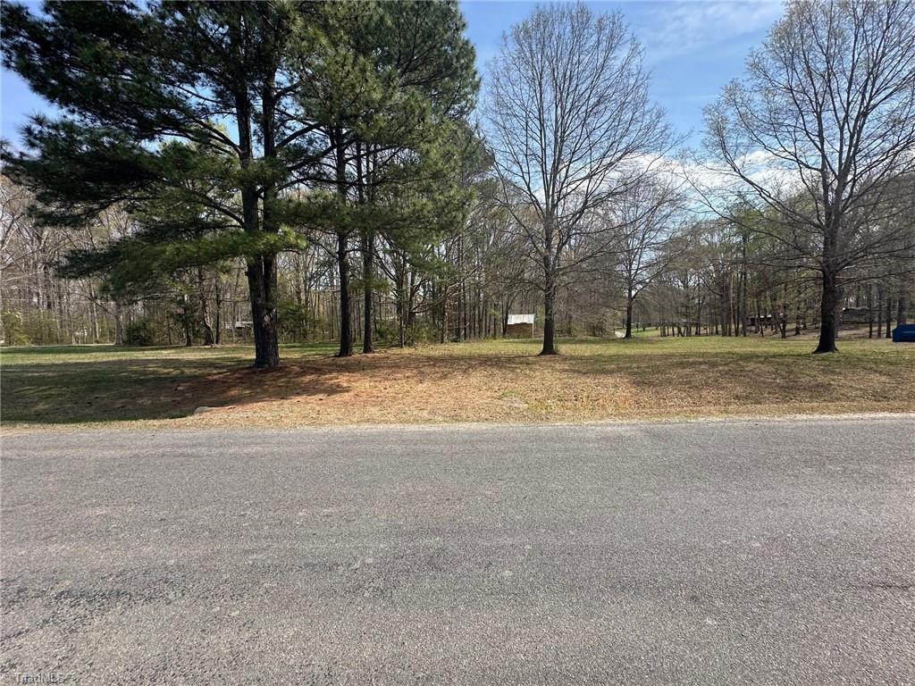 254 Speer Road Mocksville, NC 27028 - Photo 5 of 8 Speer Rd driveway