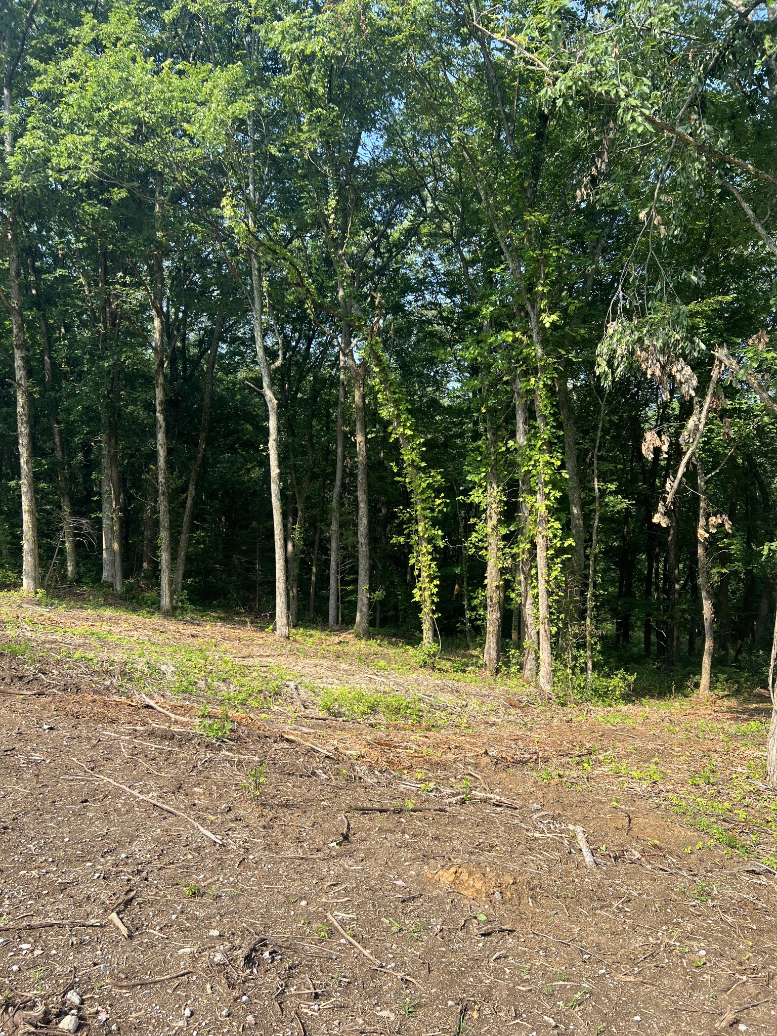 0 Shop Springs Road Watertown, TN 37184 - Photo 15 of 26 a house with trees in the background
