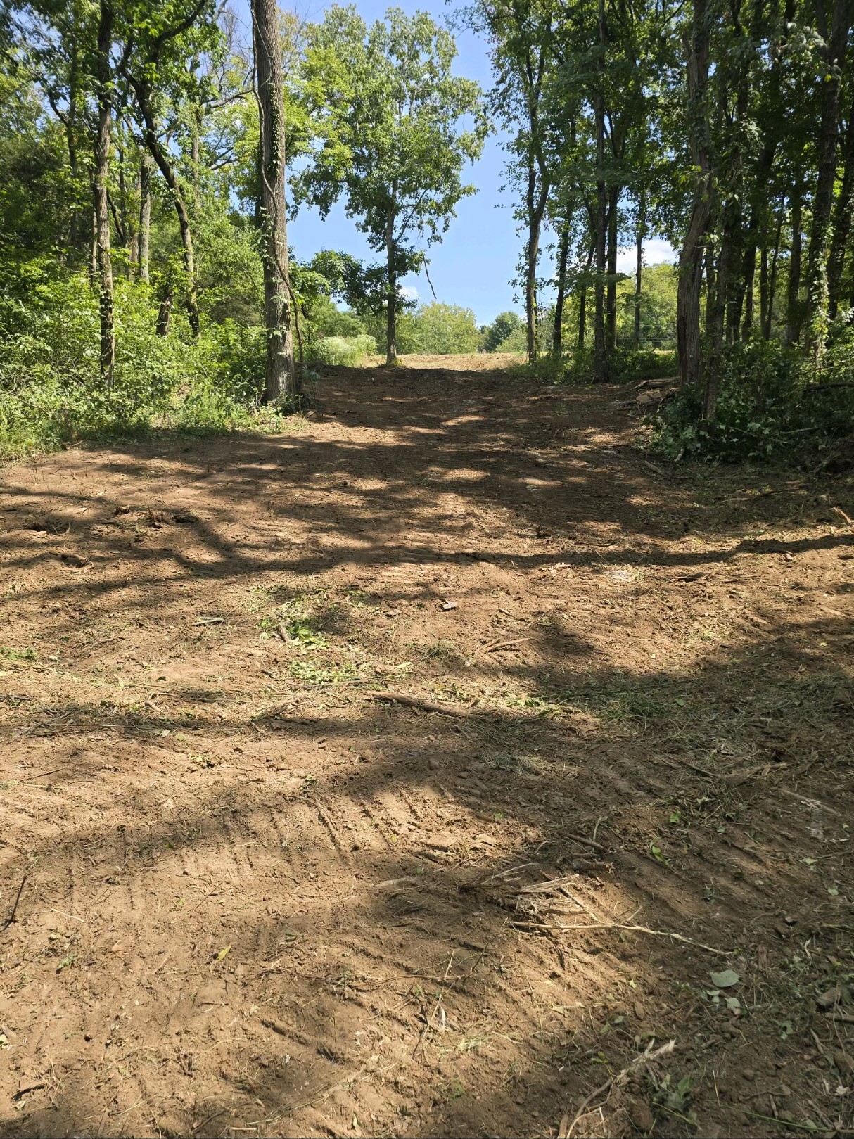 0 Shop Springs Road Watertown, TN 37184 - Photo 2 of 26 a view of a field with an trees