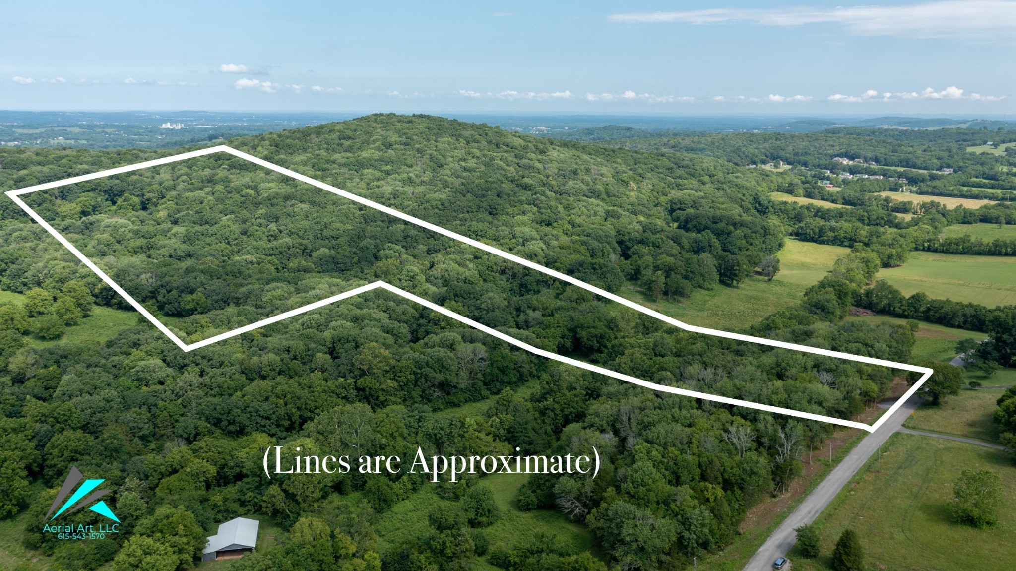 0 Shop Springs Road Watertown, TN 37184 - Photo 22 of 26 a view of a forest
