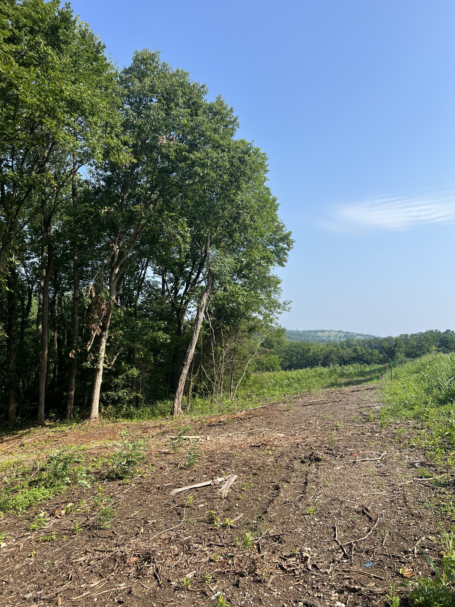 0 Shop Springs Road Watertown, TN 37184 - Photo 8 of 26 a view of a field with trees in the background