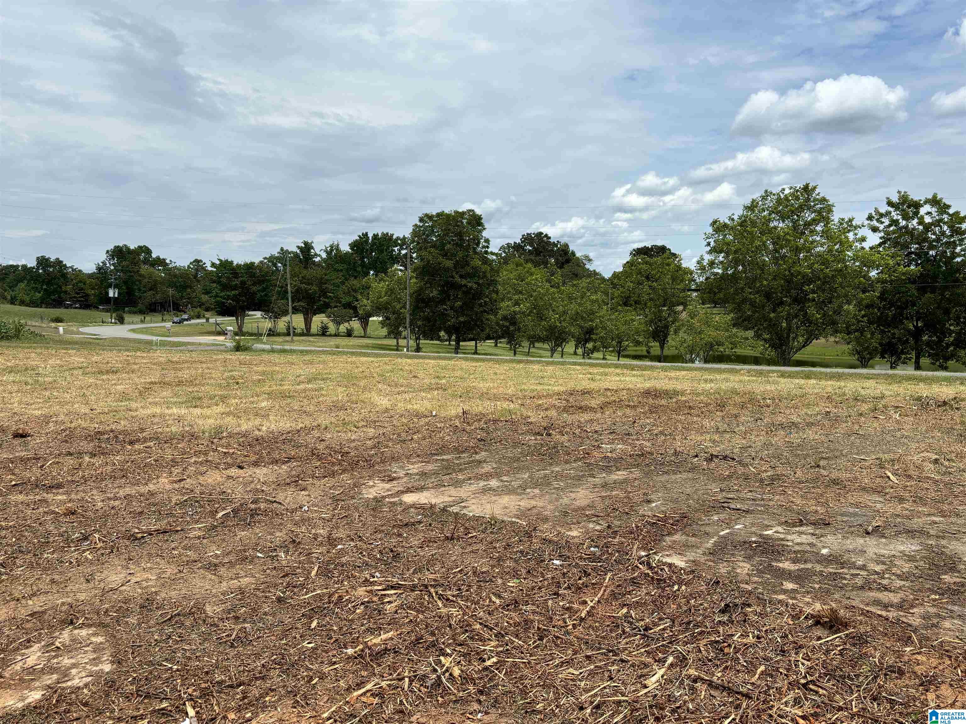 8988 Bagley Road, Unit 1 Dora, AL 35062 - Photo 1 of 8