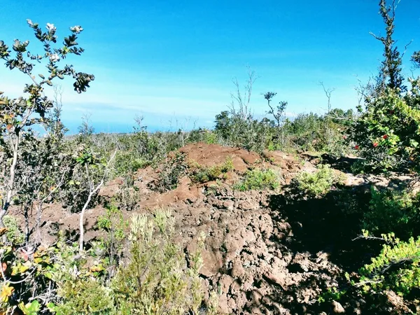 $14,500 | 12 Koa Lane, Ocean View, HI 96704