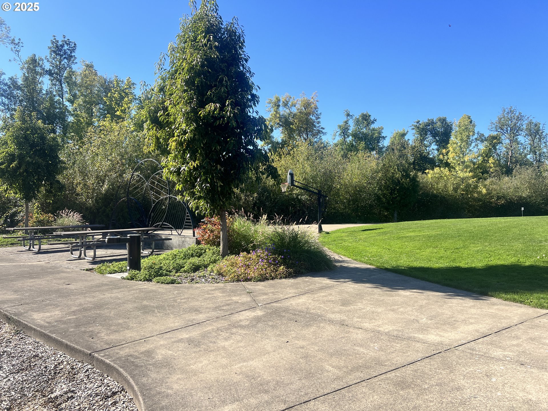 5752 Mica Street Springfield, OR 97478 - Photo 42 of 45 a view of a park with large trees