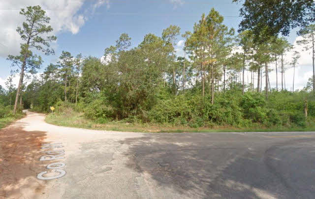 18031 3 Rivers Road Seminole, AL 36574 - Photo 3 of 5