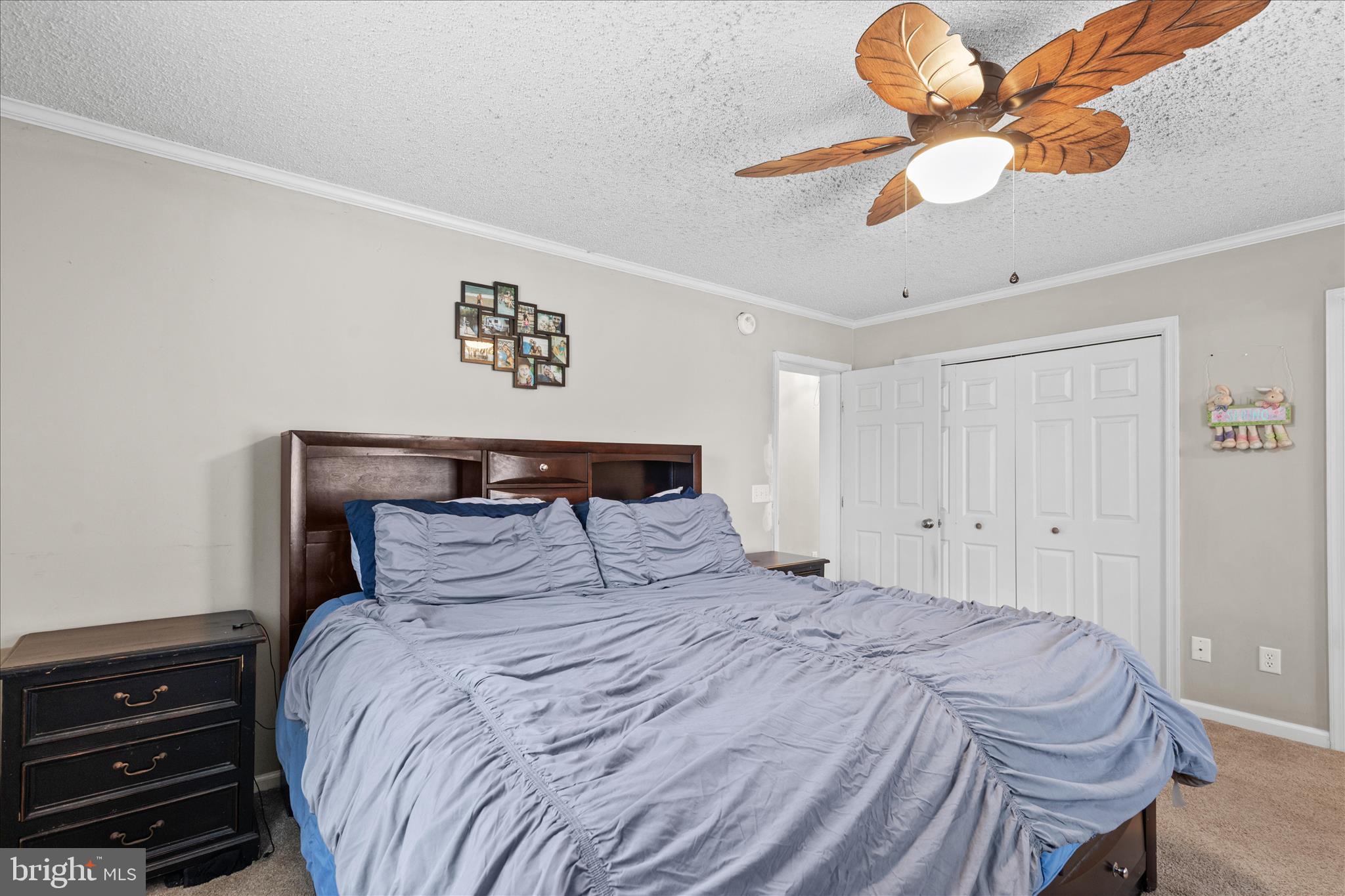 12647 Old Stage Road Bishopville, MD 21813 - Photo 36 of 84