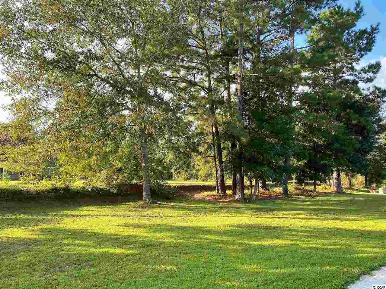 334 Georgia Mae Loop Conway, SC 29527 - Photo 3 of 33