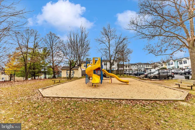 a view of a park with large trees