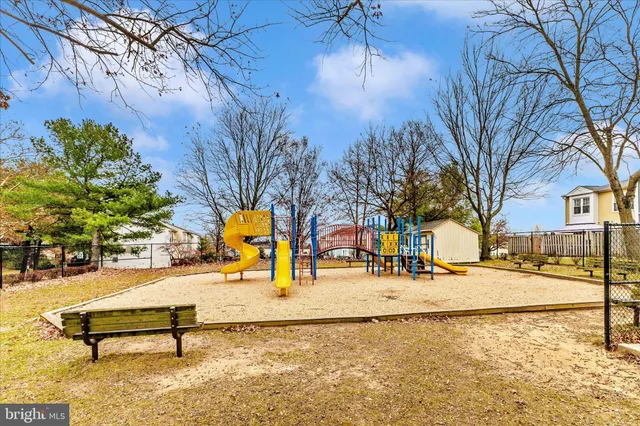 a park view with bench and trees