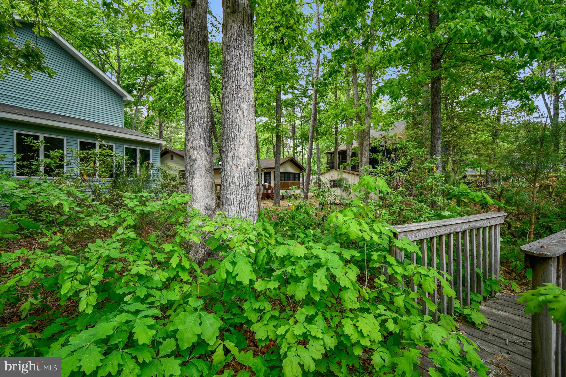 70 Capetown Road Ocean Pines, MD 21811 - Photo 46 of 48 Serene woodland retreat awaits you.