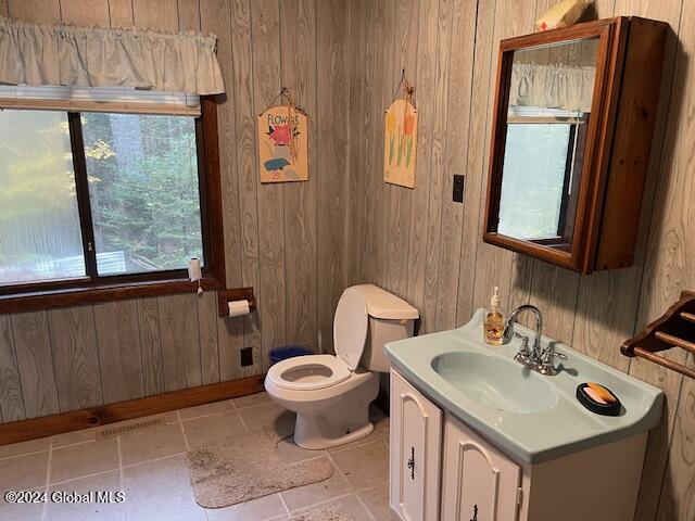 2004 Hoffman Road Schroon Lake, NY 12870 - Photo 15 of 45 bathsink