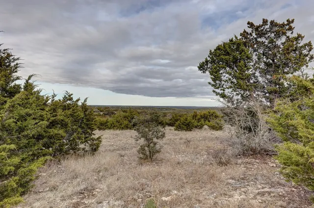 a view of a dry yard with trees