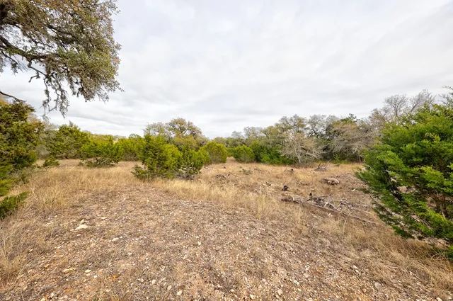 a view of a lake with lots of trees