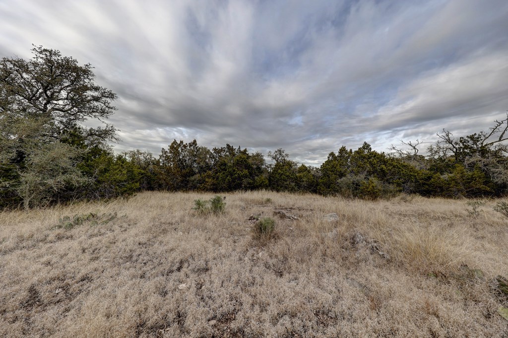 870 Rocky Top Road Southwest Hunt, TX 78024 - Photo 25 of 63 a view of a dry yard with trees