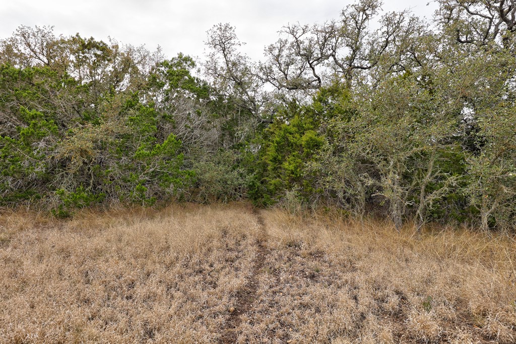870 Rocky Top Road Southwest Hunt, TX 78024 - Photo 26 of 63 a view of a lake with lots of trees