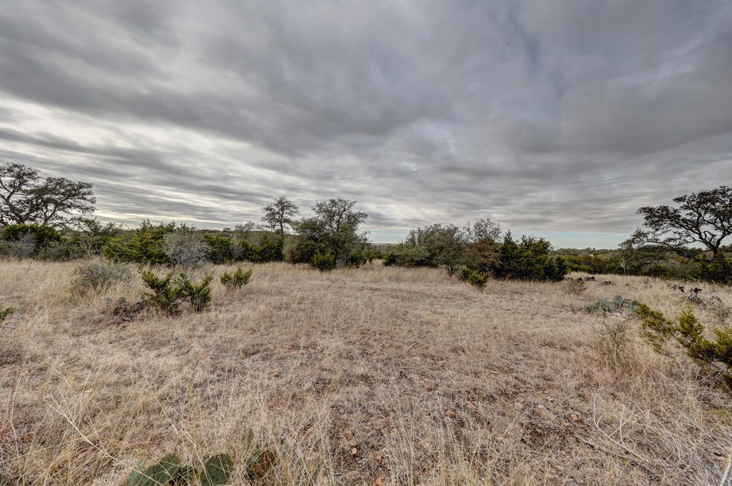 870 Rocky Top Road Southwest Hunt, TX 78024 - Photo 27 of 63 a view of a dry yard with trees