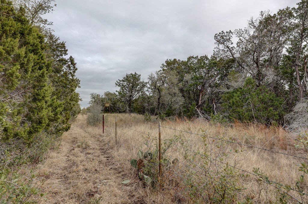 870 Rocky Top Road Southwest Hunt, TX 78024 - Photo 29 of 63 a view of a lake with lots of trees