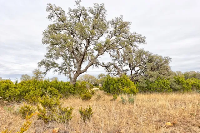 a aerial view of a house with lots of trees