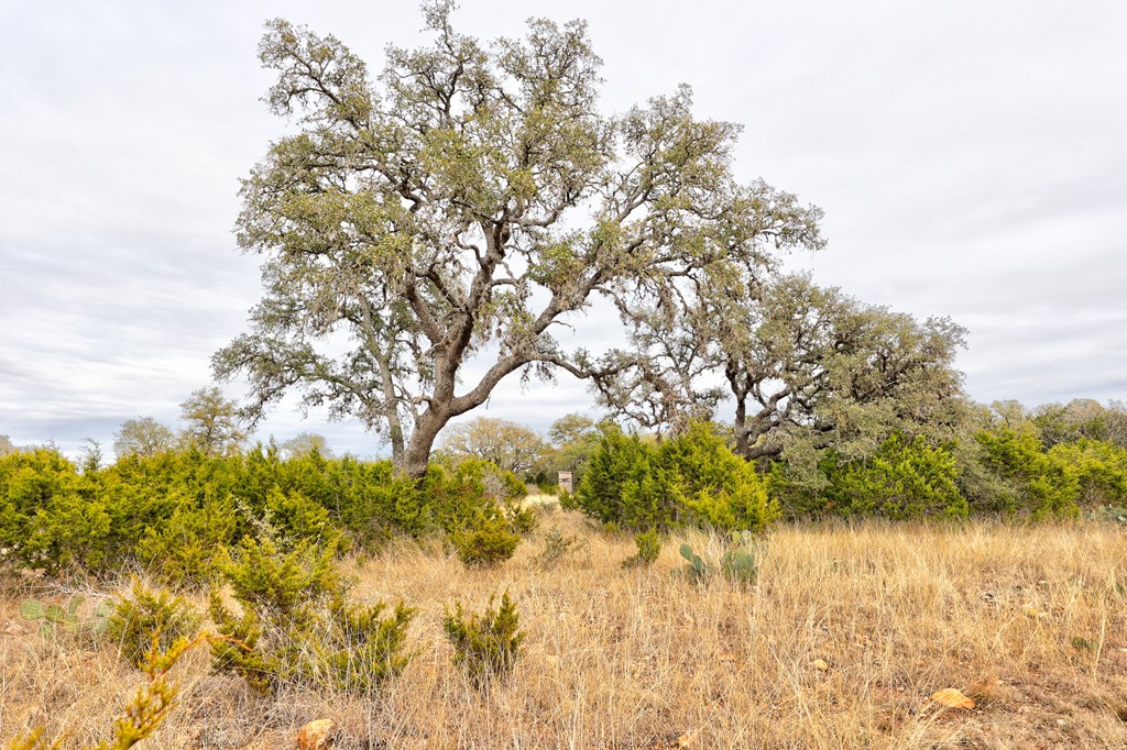 870 Rocky Top Road Southwest Hunt, TX 78024 - Photo 30 of 63