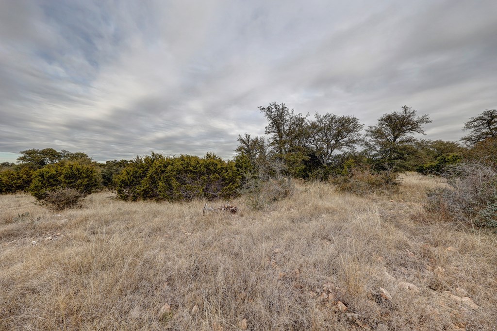 870 Rocky Top Road Southwest Hunt, TX 78024 - Photo 31 of 63 a view of a dry yard with trees