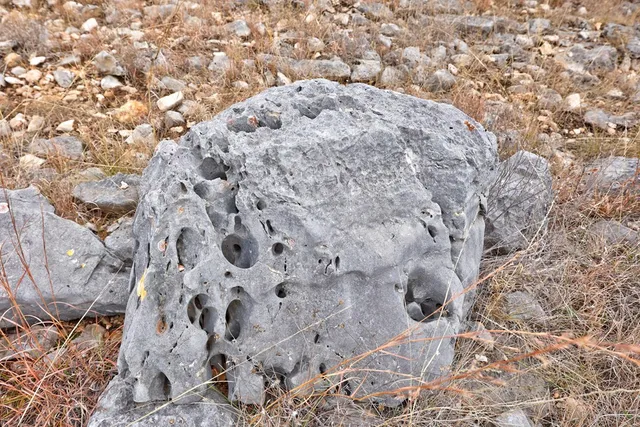a view of a dry grass field