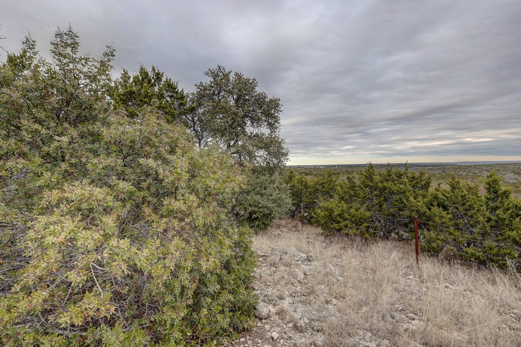 870 Rocky Top Road Southwest Hunt, TX 78024 - Photo 34 of 63 a view of a forest with trees in the background