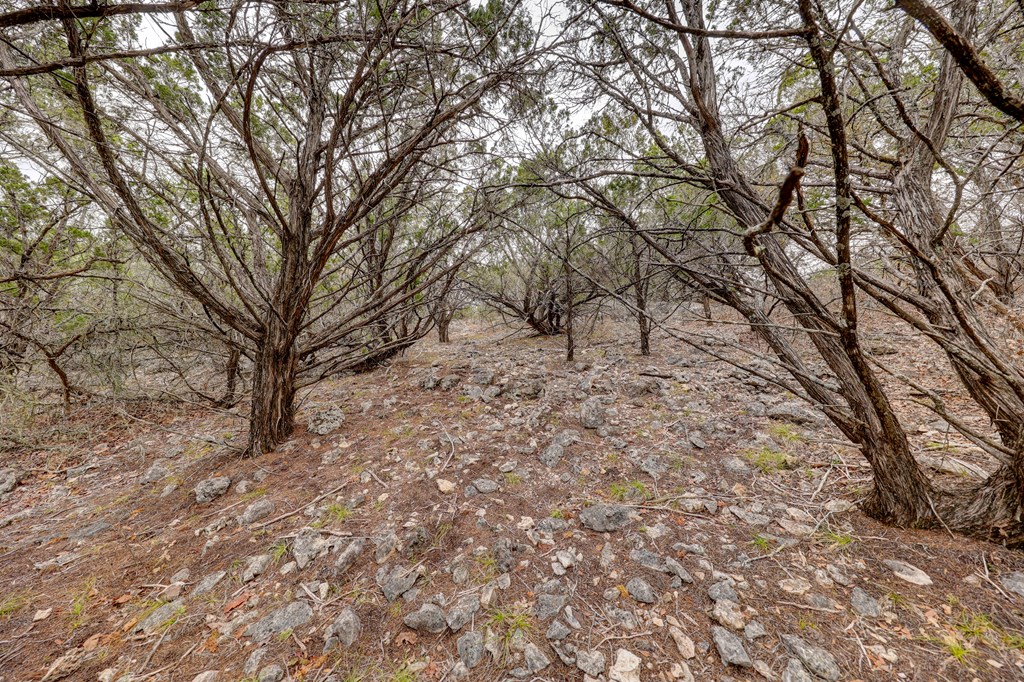 870 Rocky Top Road Southwest Hunt, TX 78024 - Photo 35 of 63