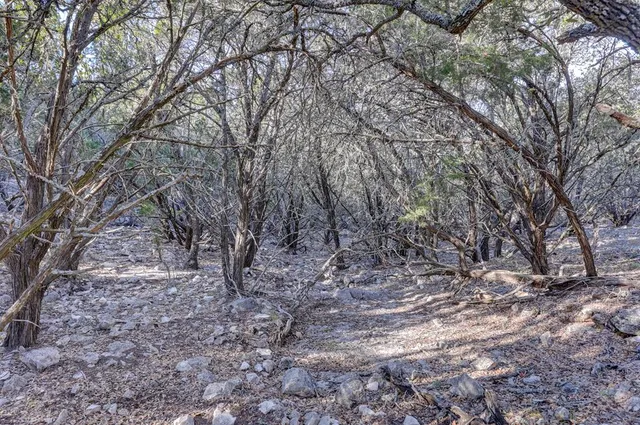 an aerial view of forest