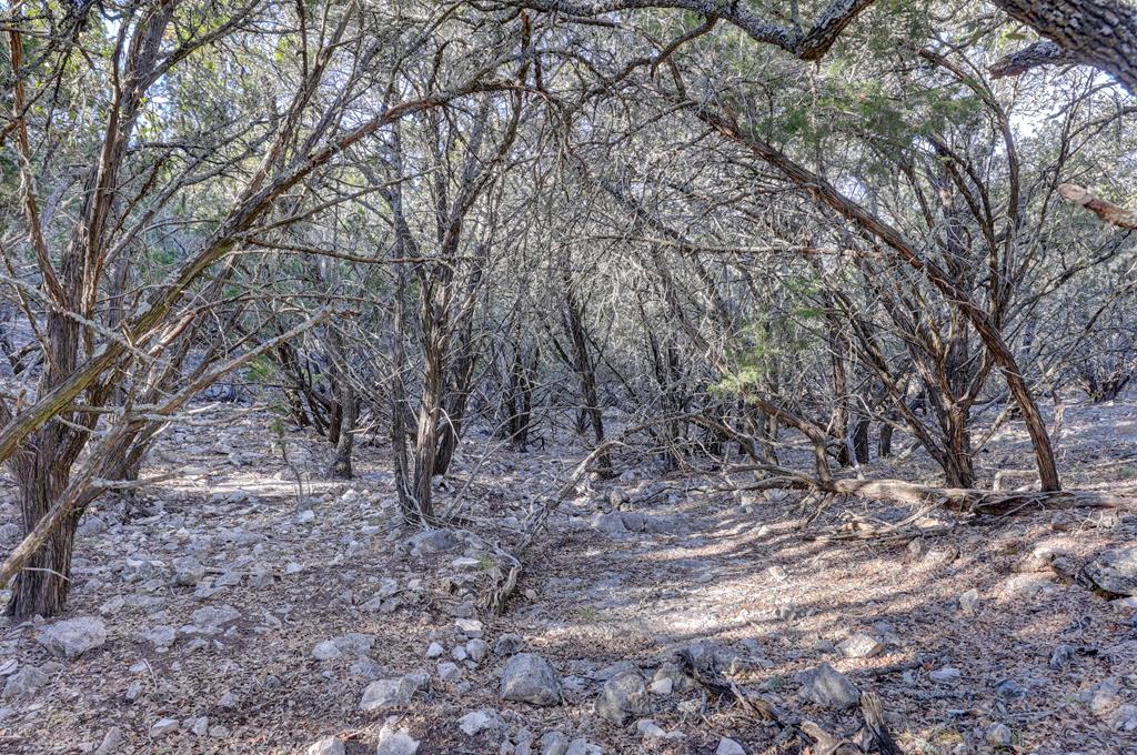 870 Rocky Top Road Southwest Hunt, TX 78024 - Photo 41 of 63