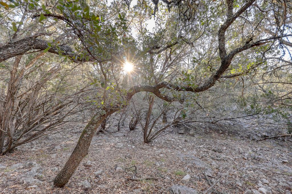 870 Rocky Top Road Southwest Hunt, TX 78024 - Photo 42 of 63 a view of a yard with large trees