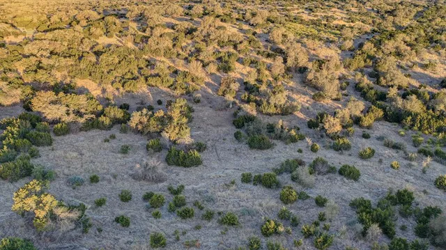 a view of a yard with trees