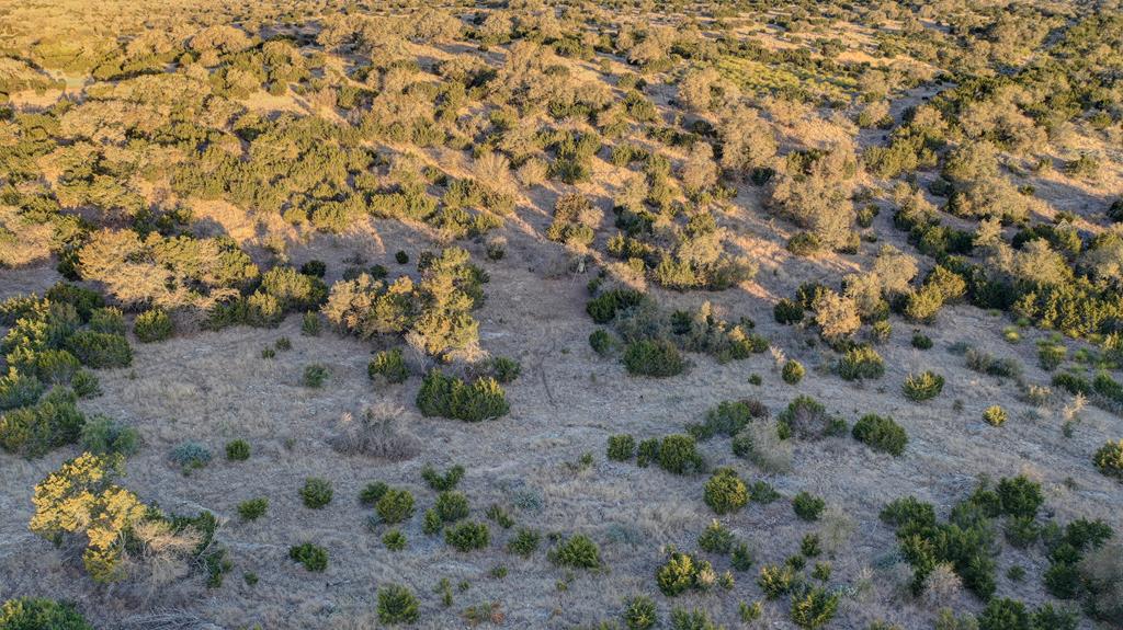 870 Rocky Top Road Southwest Hunt, TX 78024 - Photo 44 of 63 a view of a yard with a tree