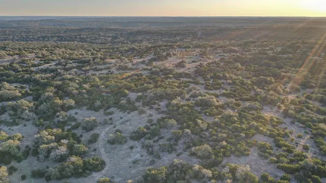 a view of a yard with a dry yard