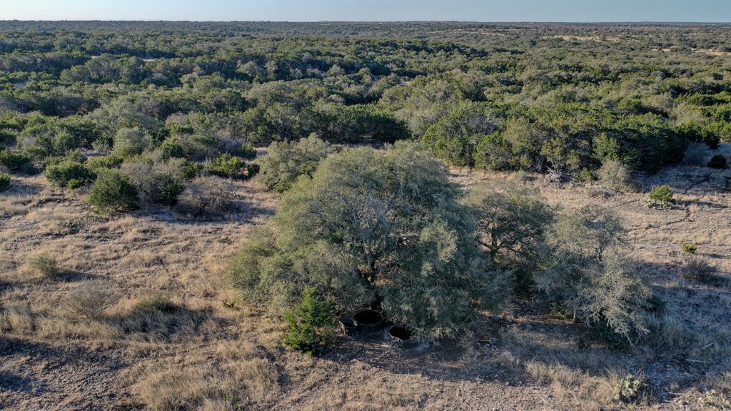 870 Rocky Top Road Southwest Hunt, TX 78024 - Photo 53 of 63 an aerial view of forest