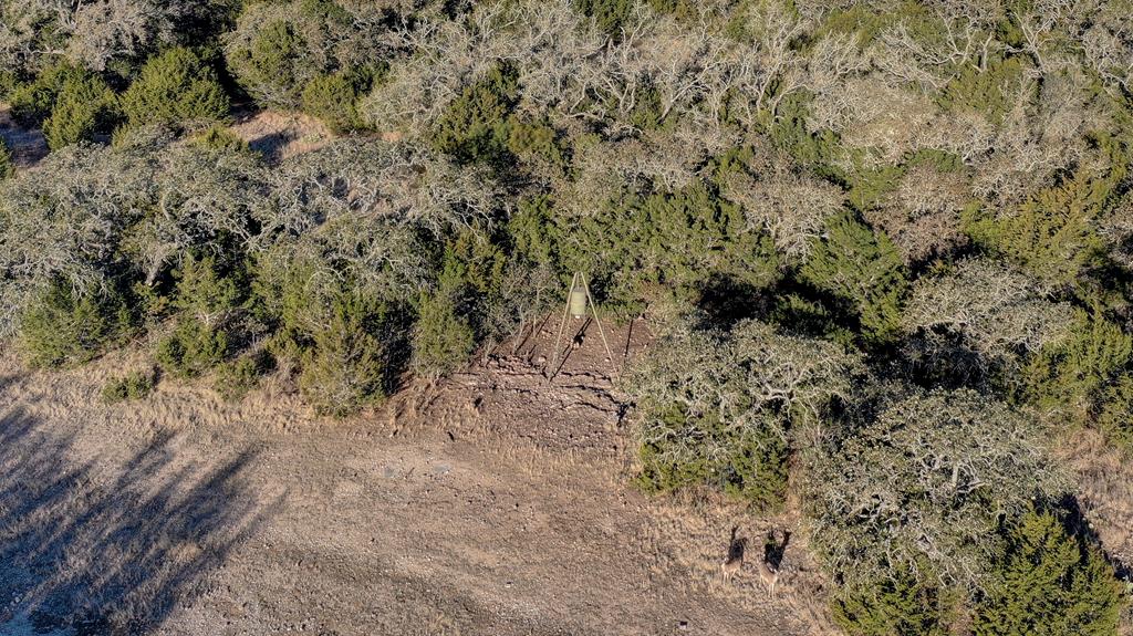 870 Rocky Top Road Southwest Hunt, TX 78024 - Photo 61 of 63 a view of a yard with a dry yard