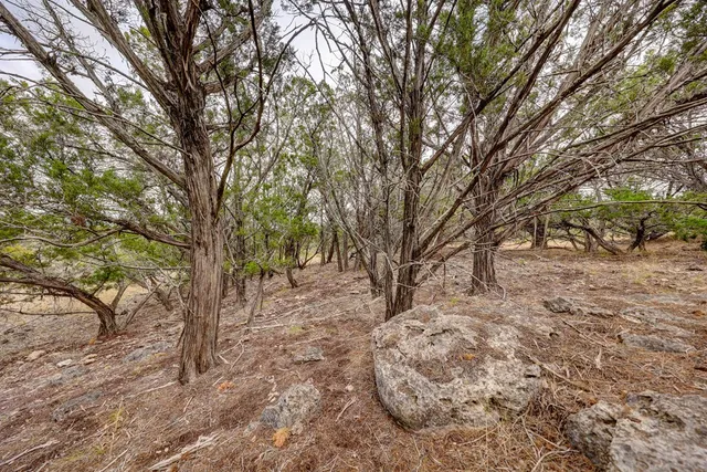 a view of a dry yard with wooden fence