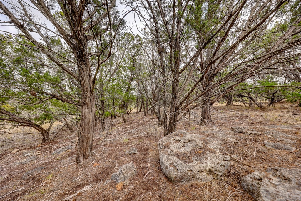 870 Rocky Top Road Southwest Hunt, TX 78024 - Photo 10 of 63 a view of a yard covered with snow in back