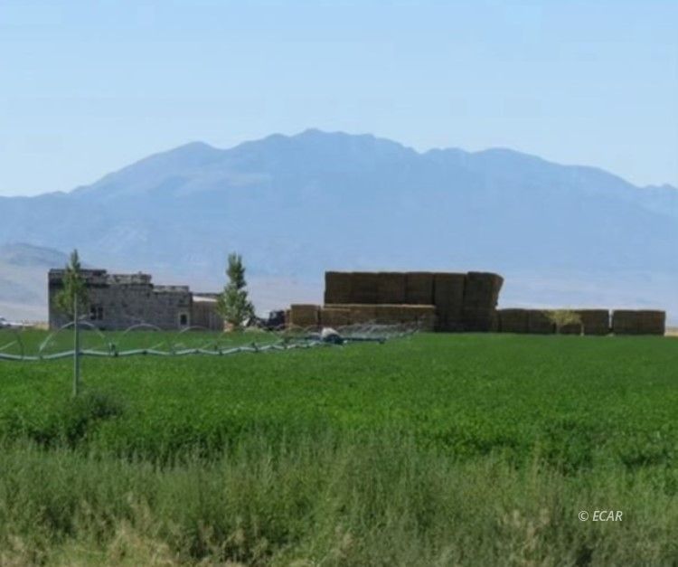 1199 Fire Station Road South Ely, NV 89301 - Photo 28 of 46
