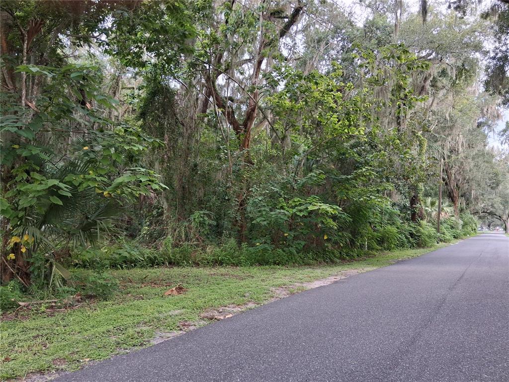 730 County Road Webster, FL 33597 - Photo 1 of 2 Gallery Image 1