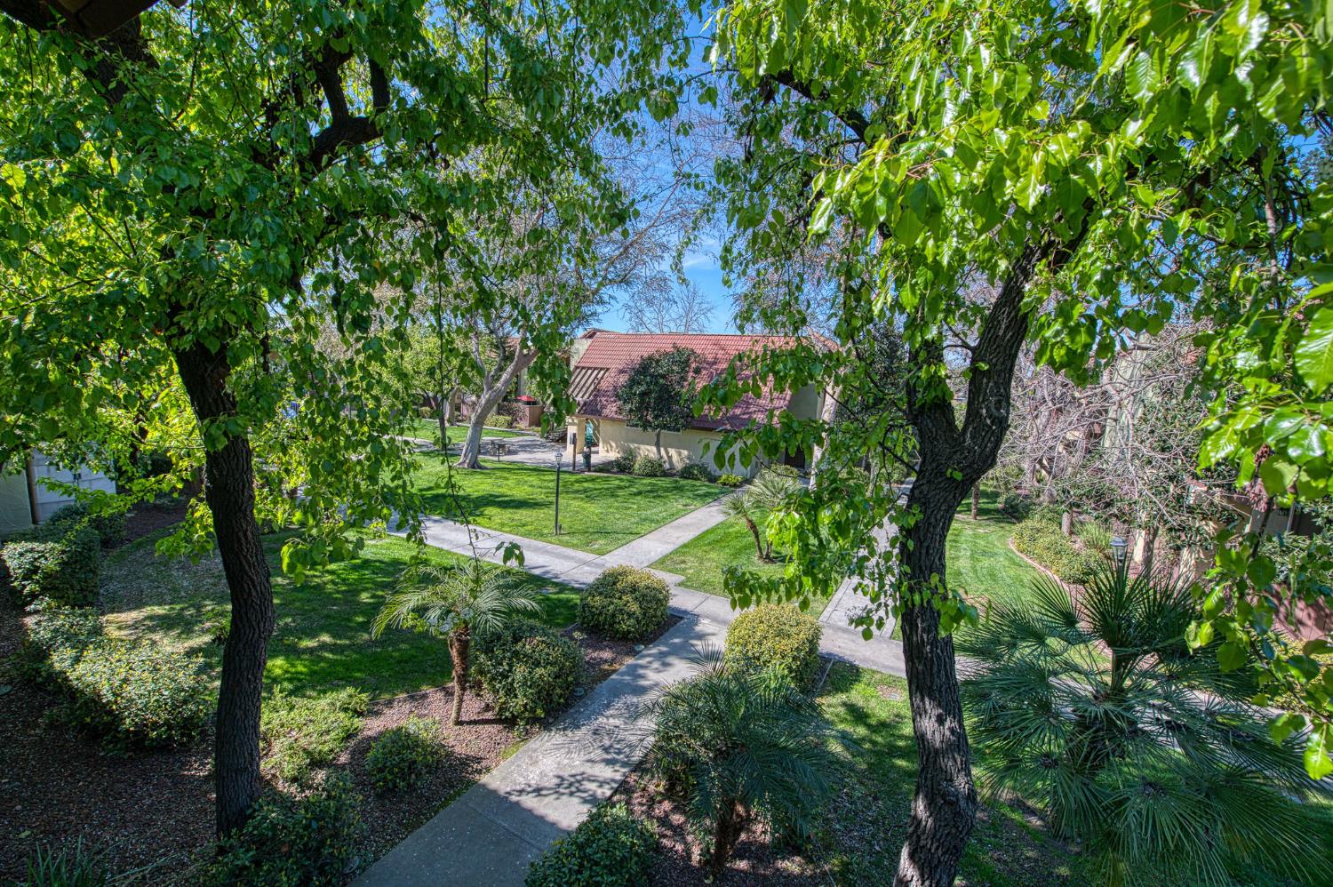 2881 Huntington Boulevard, Unit 262 Fresno, CA 93721 - Photo 31 of 31 a view of a garden with plants and large trees